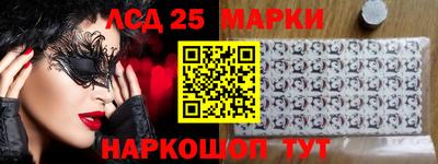 spice Бердск