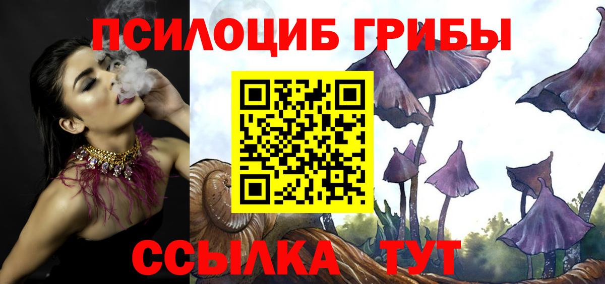 Реж  Галлюциногенные грибы Psilocybine cubensis  Вход с VPN 
