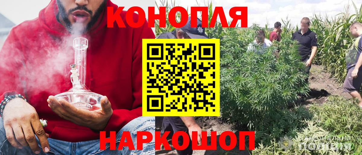 Реж  МАРИХУАНА гибрид  Бошки марихуана планчик  Шишки марихуана план  Бошки Шишки VHQ  Вход с VPN 